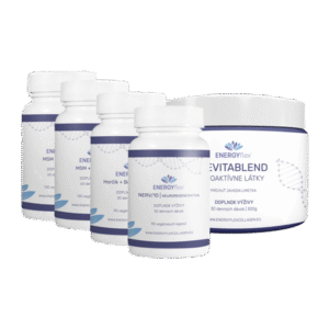 Balíček kompletná regenerácia MAX (2x MSM + Vitamín C, Nerv/10, Magnézium, Revitablend)